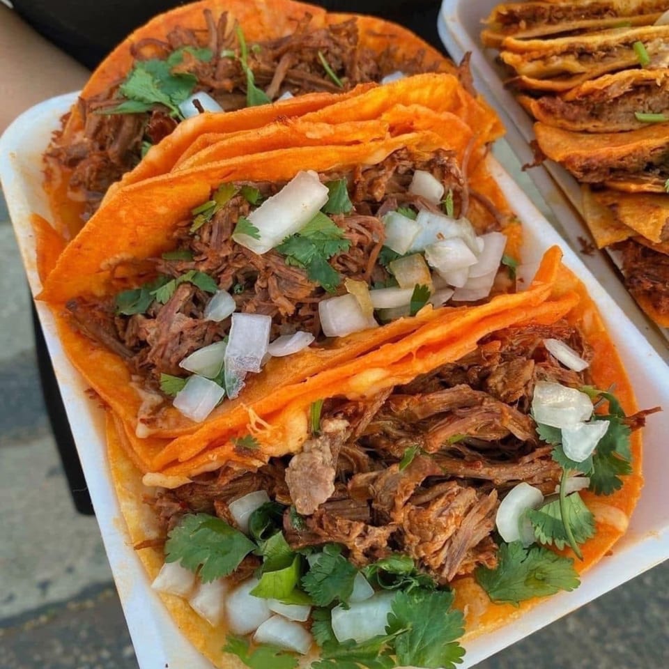 Close-up of three Carnales Taqueria birria tacos with shredded meat, cilantro, and diced onions.